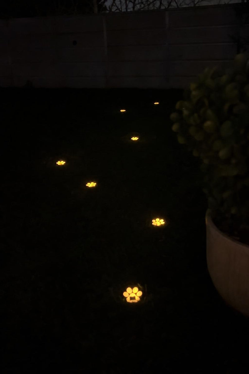 PawGlow™ Solar Paw Lights lifestyle image 5