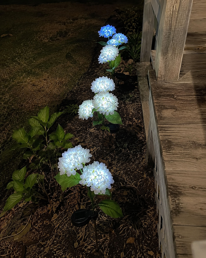 BloomGlow™ Lights lifestyle image 2