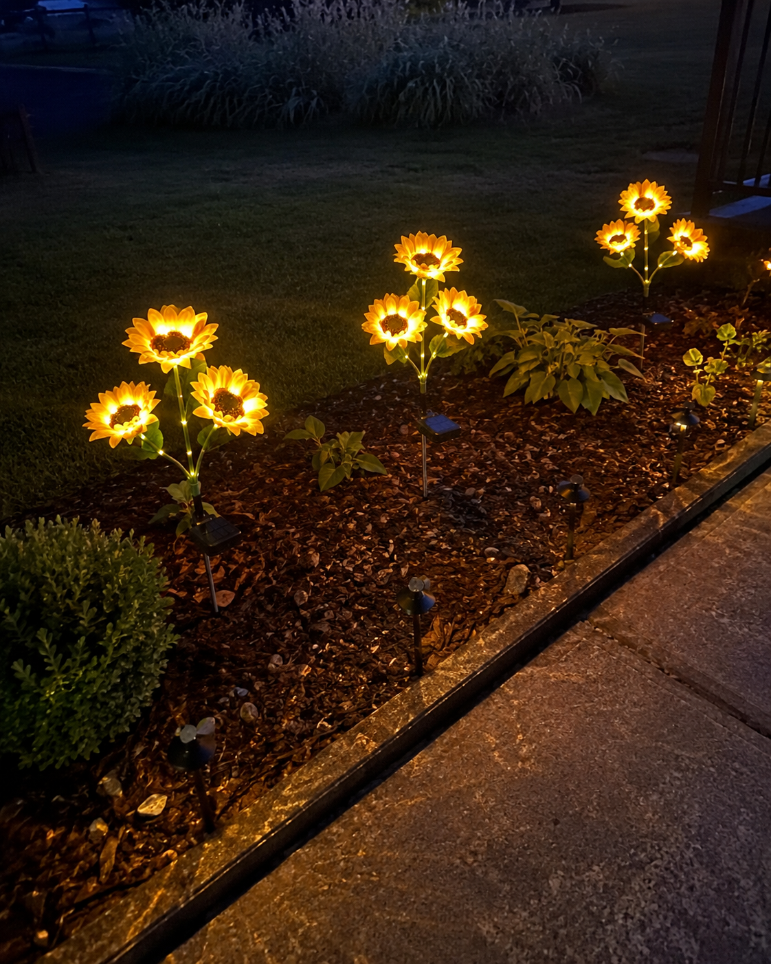 SunflowerGlow™ Lights lifestyle image 2