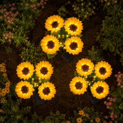 SunflowerGlow™ Lights