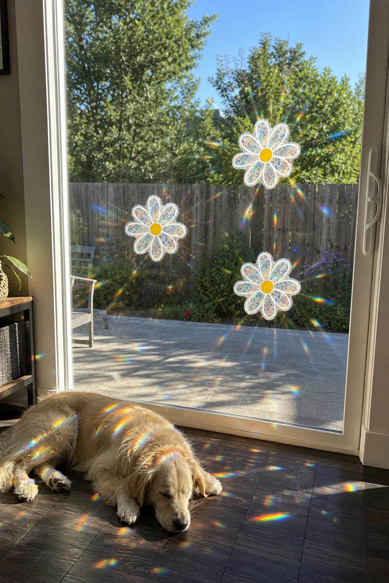 DaisyPrism™ Rainbow Suncatcher Window Stickers lifestyle image 5