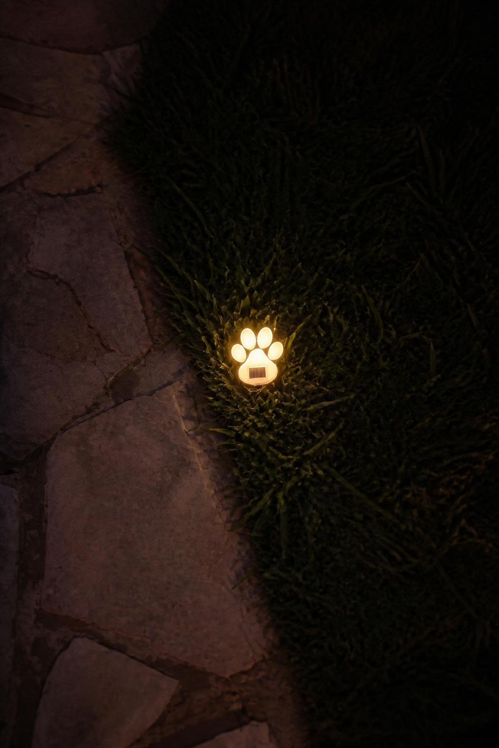 PawGlow™ Solar Paw Lights lifestyle image 2