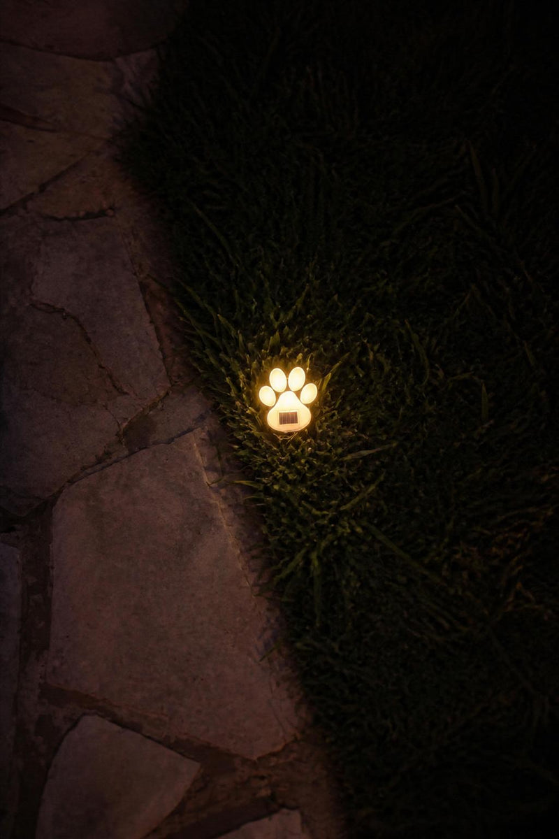 PawGlow™ Solar Paw Lights lifestyle image 2