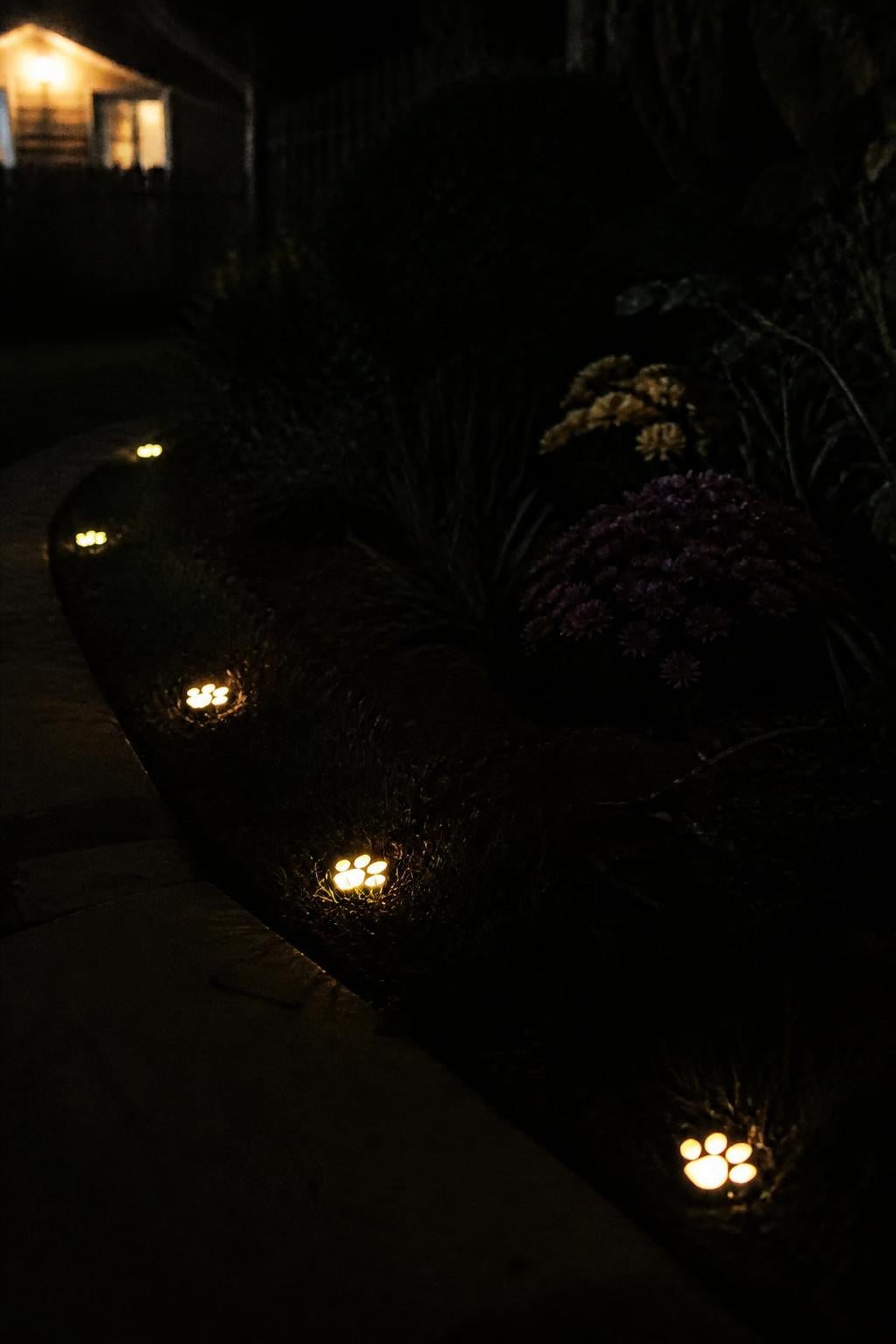 PawGlow™ Solar Paw Lights lifestyle image 3