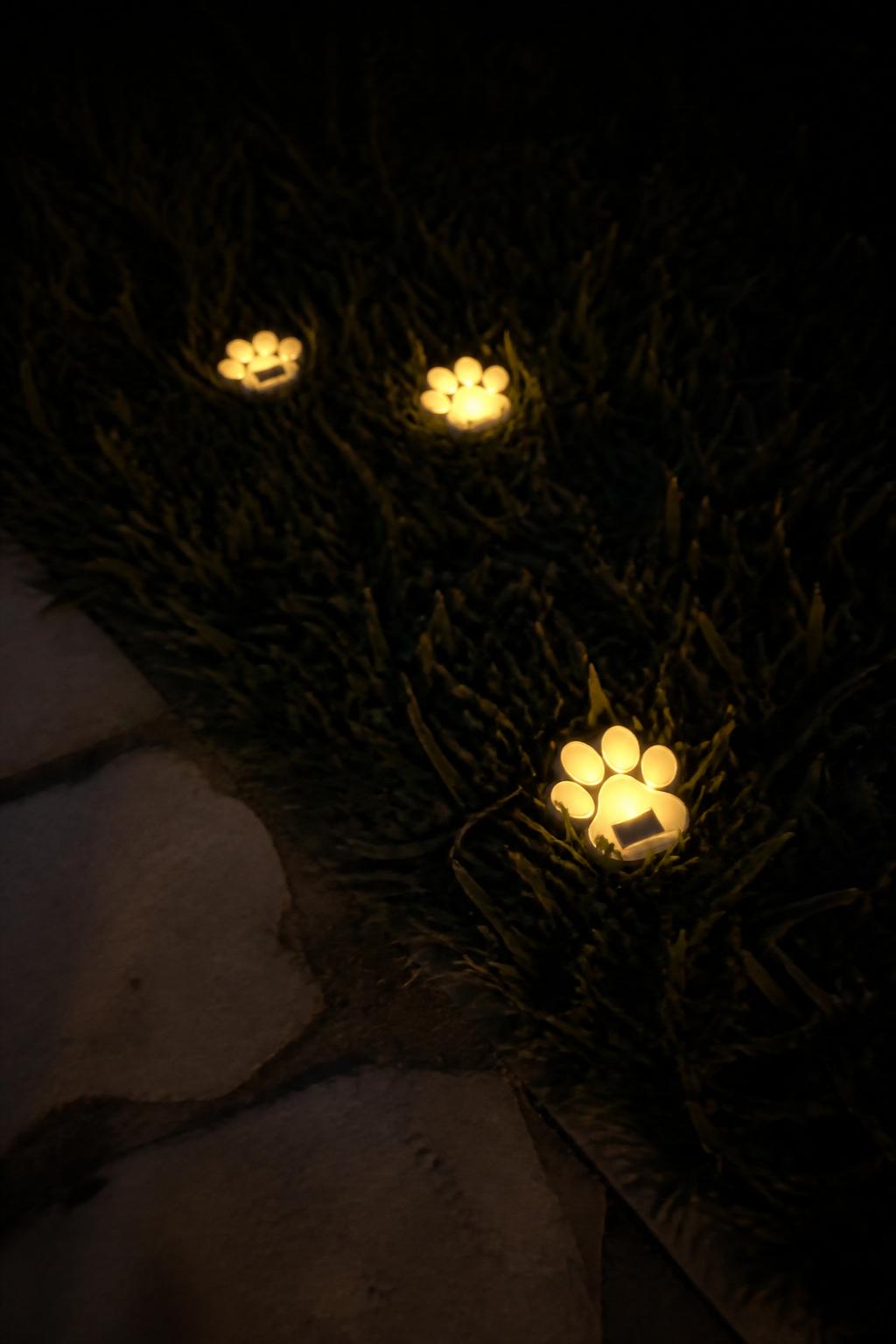 PawGlow™ Solar Paw Lights lifestyle image 4