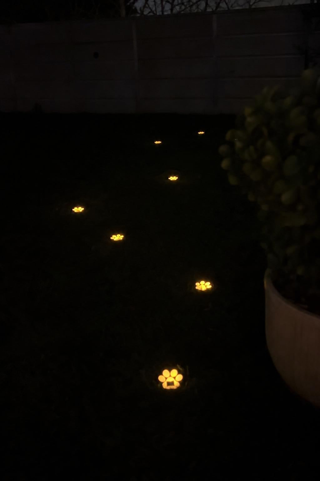 PawGlow™ Solar Paw Lights lifestyle image 5