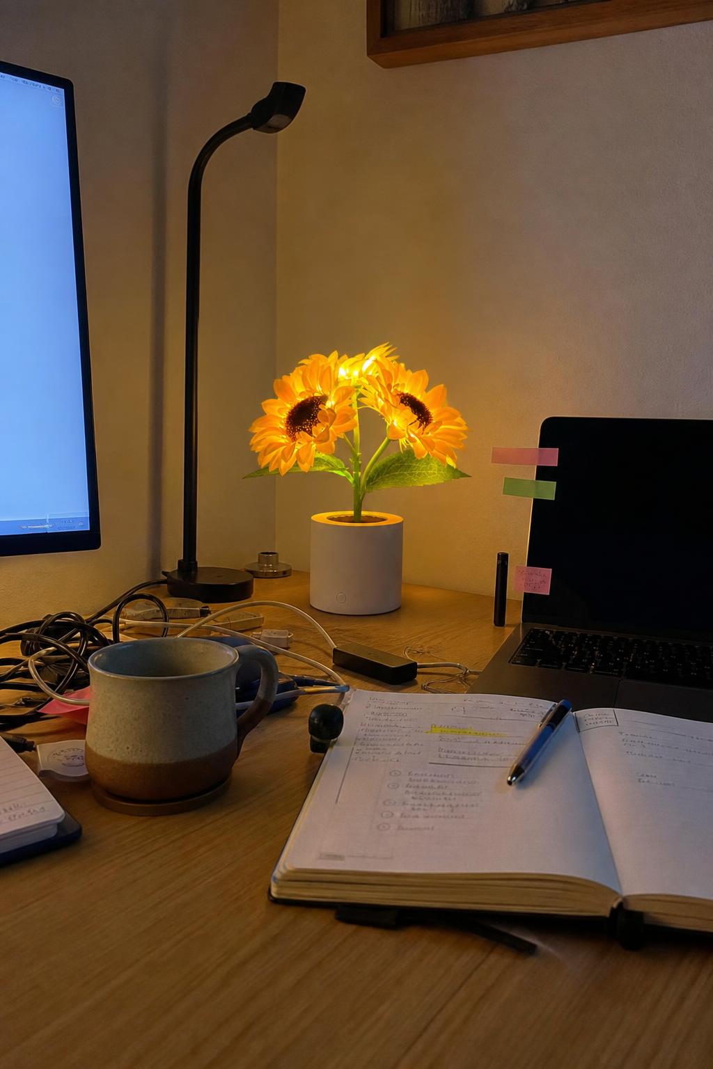 SunBloom lifestyle 2