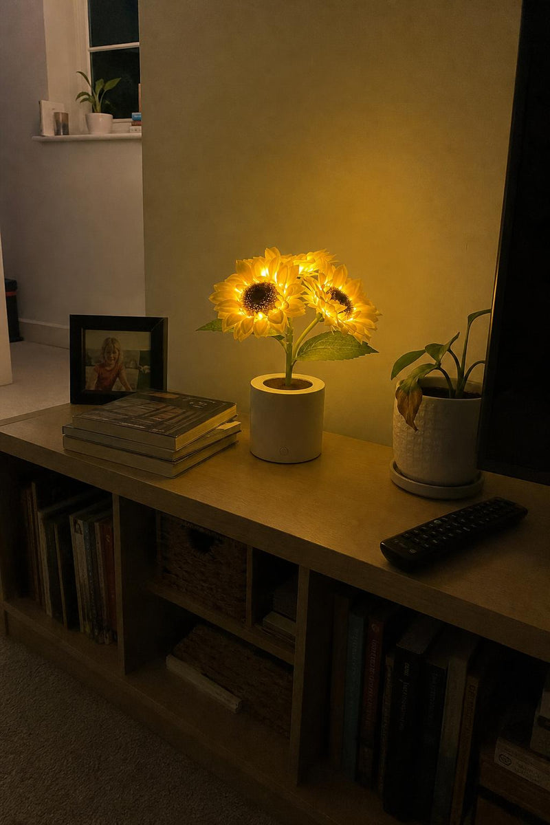 SunBloom lifestyle 3