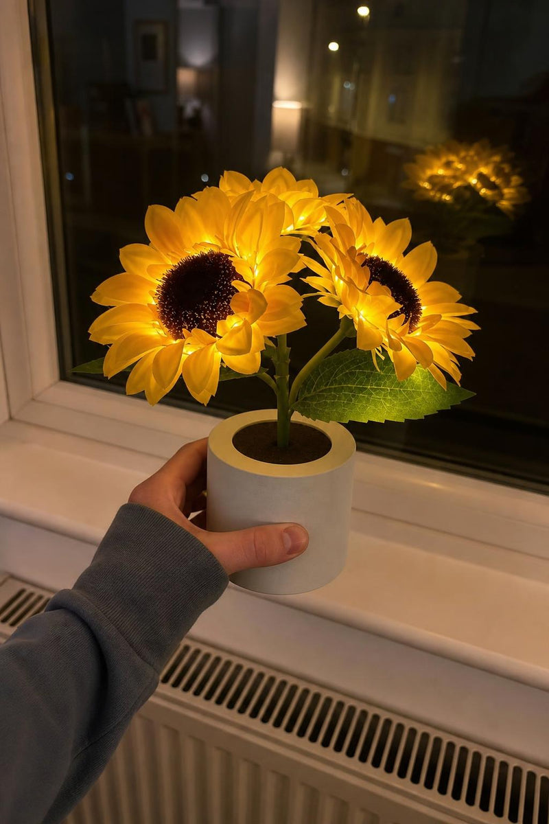 SunBloom lifestyle 4