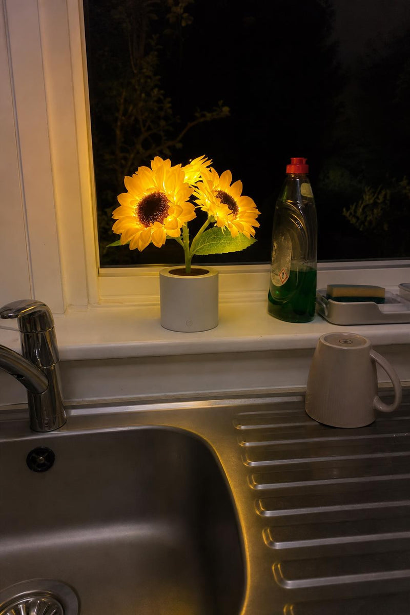 SunBloom lifestyle 5